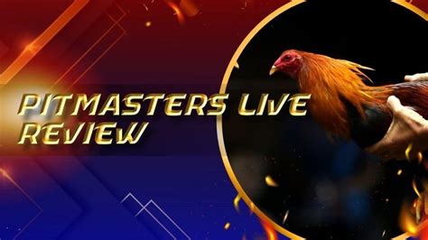 pitmaster.live Review .